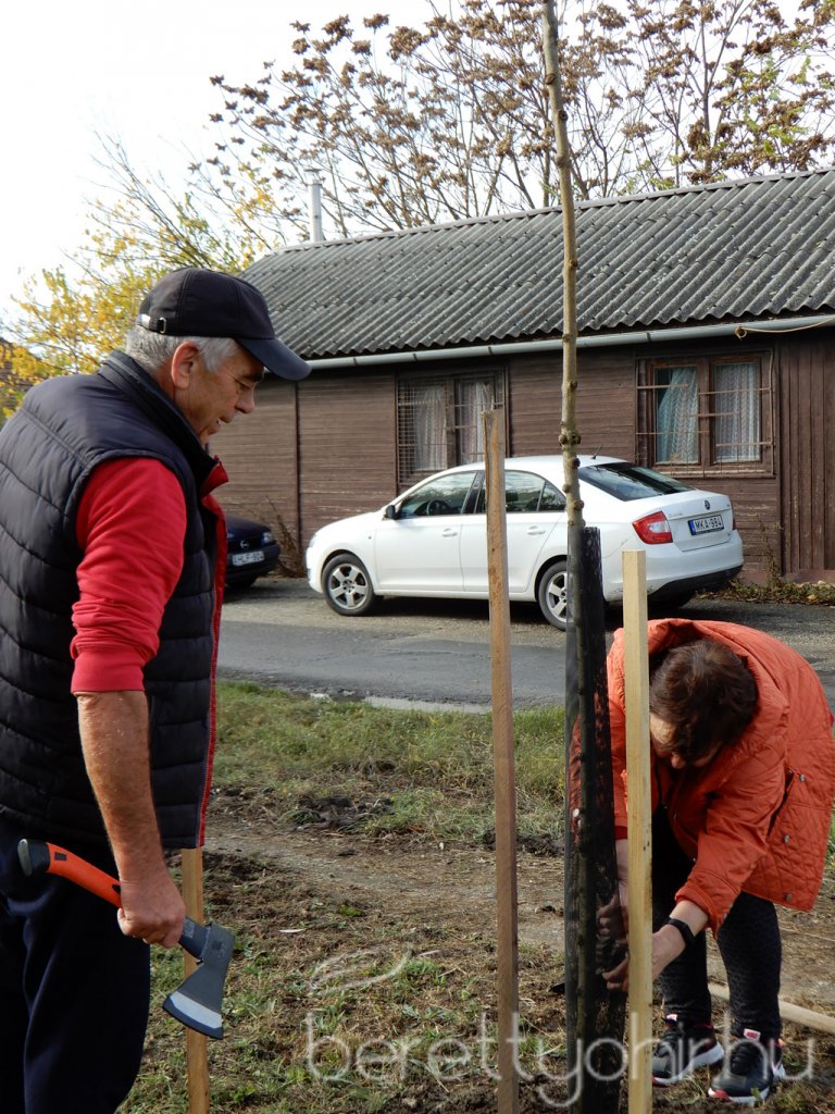 Közösségi faültetés Berettyóújfaluban 26